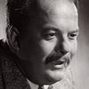 Stanislav Ledinek as Robert