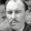 Dervis Ward as Bosun