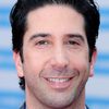 David Schwimmer as Self