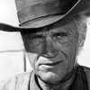 Robert J. Wilke as The Sheriff