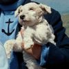 Milo as Milou