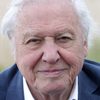 David Attenborough as Self - Opening Sequence (voice)