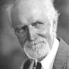 Luke Cosgrave as Joel Whitaker