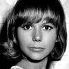 Carla Macelloni as Paola Marchetti