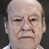 Sten Ljunggren as Läromästaren