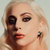 Lady Gaga as Self