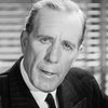 Frank Shannon as Sheriff