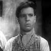 Paquito Cano as Faustino, carpintero(Francisco Cano)