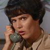 Mary Michael as Terry