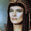 Hildegard Neil as Eve Pelham