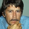 Alex Cord as Walter Graham