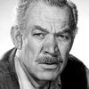 Ward Bond as Ike Botkin