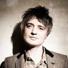 Pete Doherty as Self