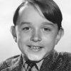 Billy Lee as The Boy (segment "The Reluctant Dragon")