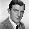 Glyn Houston as Bailey