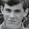 Gary Grimes as Andy Petrovic