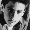 Barret Oliver as David