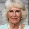 Queen Camilla