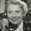 Ebba Amfeldt as Salgsdame