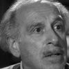 Martin Miller as Pierre Luigi - Photographer