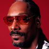 Snoop Dogg as Roj