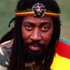 Bunny Wailer as Self