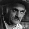 Fabijan Sovagovic as Boško