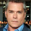 Ray Liotta as Todd