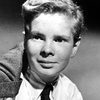 Ted Donaldson as Neeley Nolan