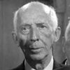 Everett Glass as Timmek