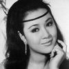 Wang Ping as Mei Lei