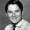 Kevin Corcoran as Jimmy Bean