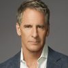 Scott Bakula as Bob Black