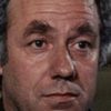 Attilio Duse as Doctor Pavan