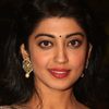 Pranitha Subhash as Prameela