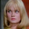 Andrea Dromm as Alison Palmer