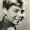 Stanley Livingston as Peter Bannerman