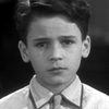 David Durand as Bellhop (uncredited)