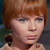 Laurel Goodwin as Laurel Dodge