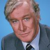 Edward Mulhare as Devon Miles