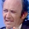 Norman Fields as Louie