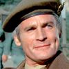 Ted Hamilton as Pirate King