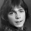 David Cassidy as Grant