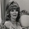 Pamela Rodgers as Robot