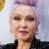 Cyndi Lauper as Self