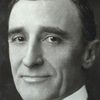 Brandon Hurst as Senator Karenin