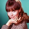Barbara Feldon