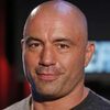 Joe Rogan as Self