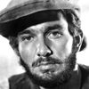 Richard Aherne as Capt. Jason Halliday
