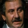 Dario Ghirardi as Journalist